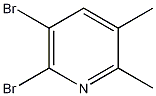 5,6-Dibromo-2,3-dimethylpyridine 	117846-56-7