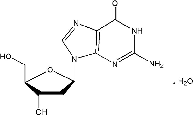 2'-deoxyguanosine monohydrate   312693-72-4