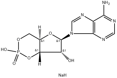 3'-5' cyclic adenosine monophosphate sodium salt       37839-81-9