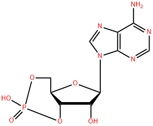 Adenosine 3',5'-cyclic monophosphate    60-92-4