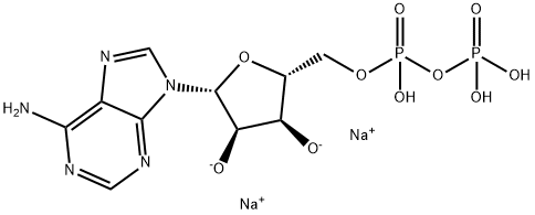 Adenosine 5'- Diphosphate Disodium Salt   16178-48-6