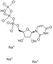 Uridine 5'-Triphophate Trisodium Salt  19817-92-6