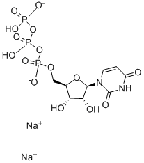 Uridine-5'-triphosphate disodium salt 285978-18-9