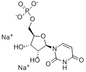 Uridine 5'-monophosphate disodium salt  3387-36-8